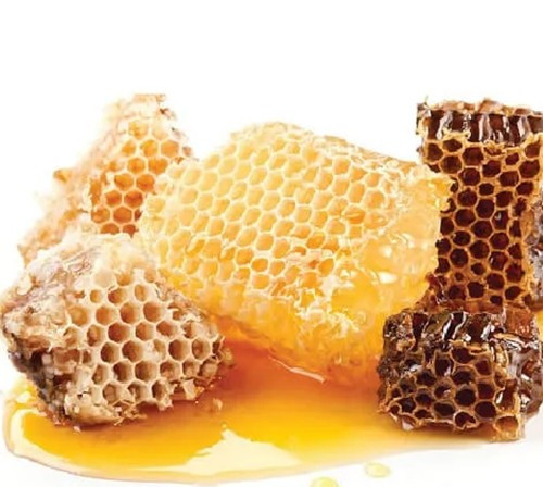 View - "Lộc trời" xưa không ai ngó nay gần 1 triệu đồng/kg | Báo Tri thức và Cuộc sống - TIN TỨC PHỔ BIẾN KIẾN THỨC 24H