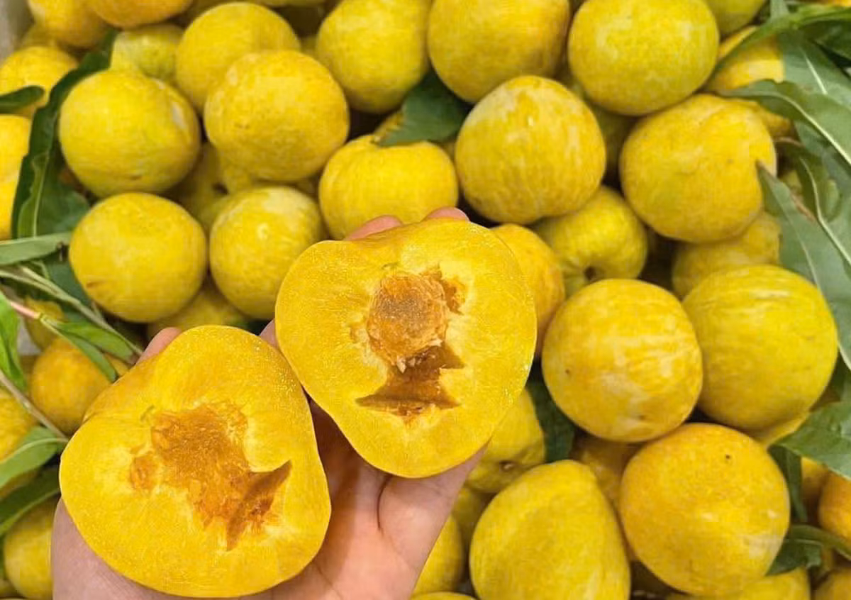 Theo một đầu mối bán nông sản tại Hà Nội, mận cau vàng Trung Quốc mỗi ngày có một mức giá khác nhau. Nhưng xu hướng chung là giá càng ngày càng rẻ. Ảnh: Facebook