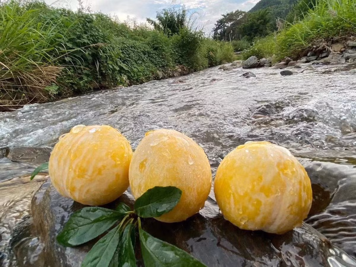 Khi đó, muốn ăn mận cau khách phải đặt trước nhưng nay hàng luôn có sẵn với giá rẻ. Ảnh: Facebook