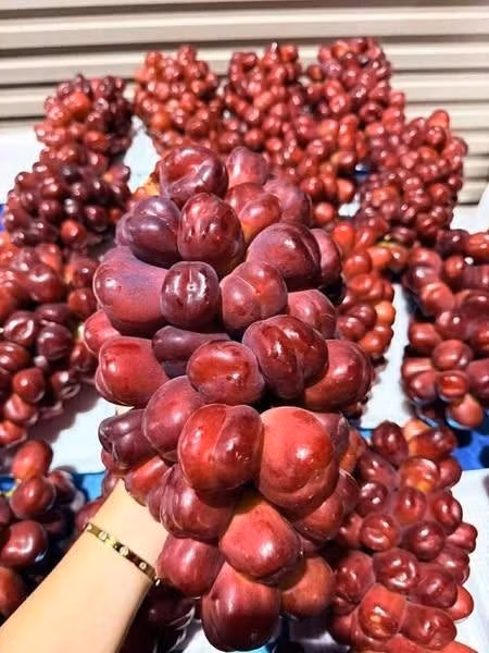Bên cạnh nho sữa xanh, thời gian gần đây, nho sữa đỏ trái tim của Trung Quốc cũng được bày bán la liệt khắp chợ Việt. Ảnh: FB Trần Thị Huyền Trang