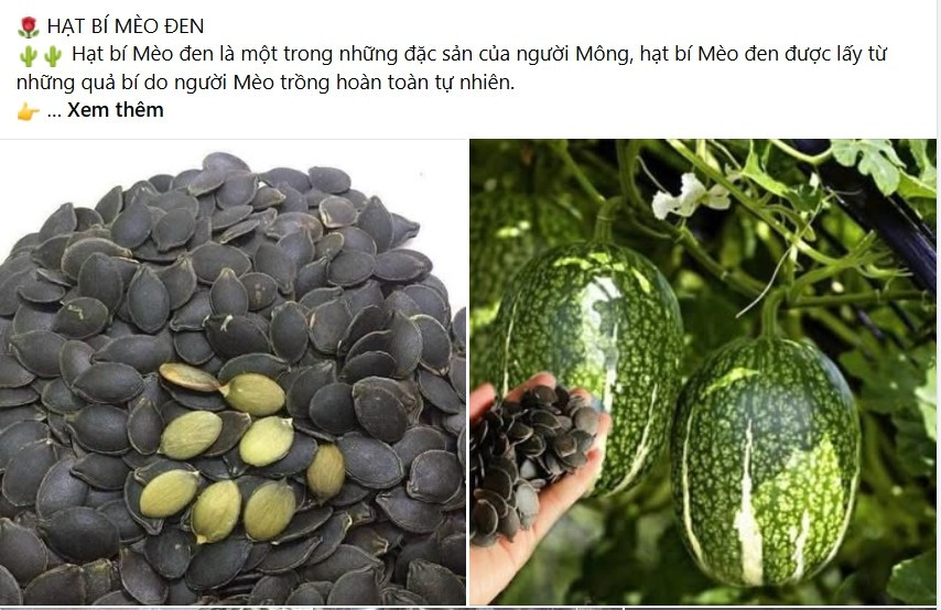 Gần Tết Nguyên đán Bính Ngọ 2026, trên chợ mạng xuất hiện nhiều người rao bán hạt bí mèo đen, phục vụ nhu cầu của người tiêu dùng. Ảnh chụp màn hình