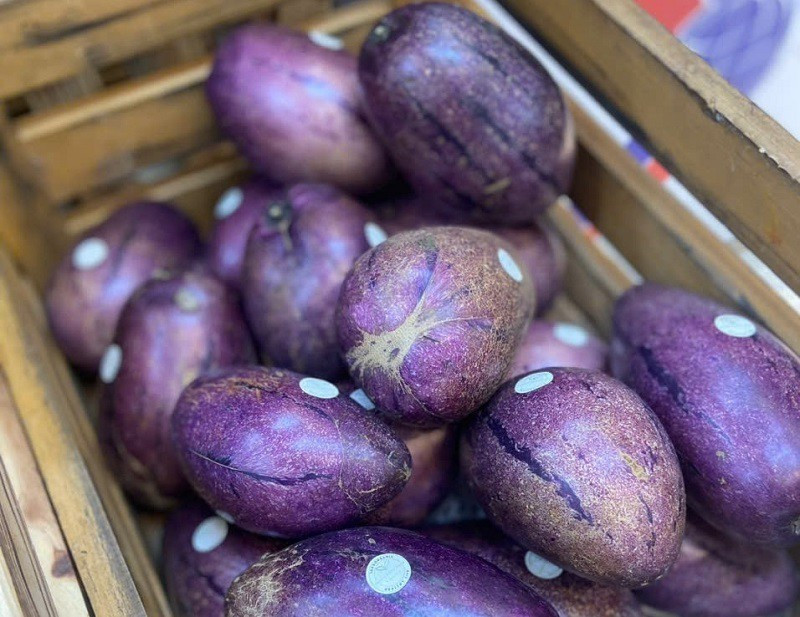 Giá bán dưa Pepino dao động từ 80.000 - 160.000 đồng/kg, nhưng số lượng rất ít, khách mua thường phải đặt trước. Ảnh: Arttimes