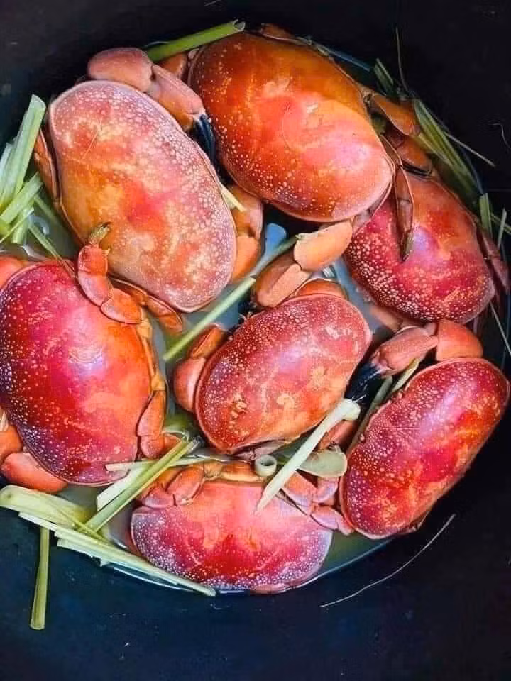 Trong khi cua hoàng đế giá lên đến tiền triệu mỗi kg, cù kỳ chỉ bằng một phần mười nhưng vẫn khiến không ít người mê mẩn bởi độ thơm ngon và hương vị đậm đà. Ảnh: Facebook