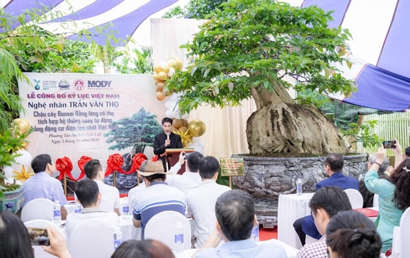 Vừa qua, Hội đồng Xác lập Kỷ lục Việt Nam đã công bố và trao kỷ lục “Chậu cây bonsai bằng lăng tích hợp hệ thống xoay tự động bằng động cơ điện lớn nhất Việt Nam” cho nghệ nhân trẻ Trần Văn Thọ. Ảnh: Baodaklak