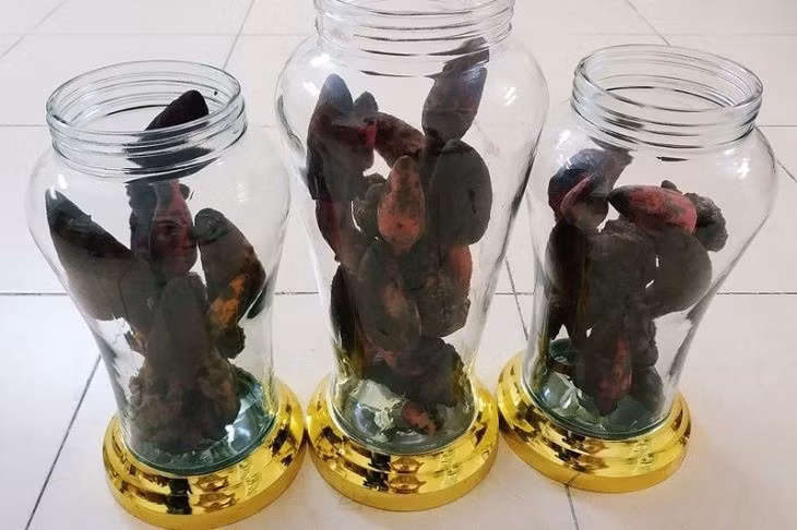 Nấm ngọc cẩu thường được dùng để ngâm rượu, sắc nước uống, hoặc kết hợp cùng các vị thuốc khác. Ảnh: Facebook