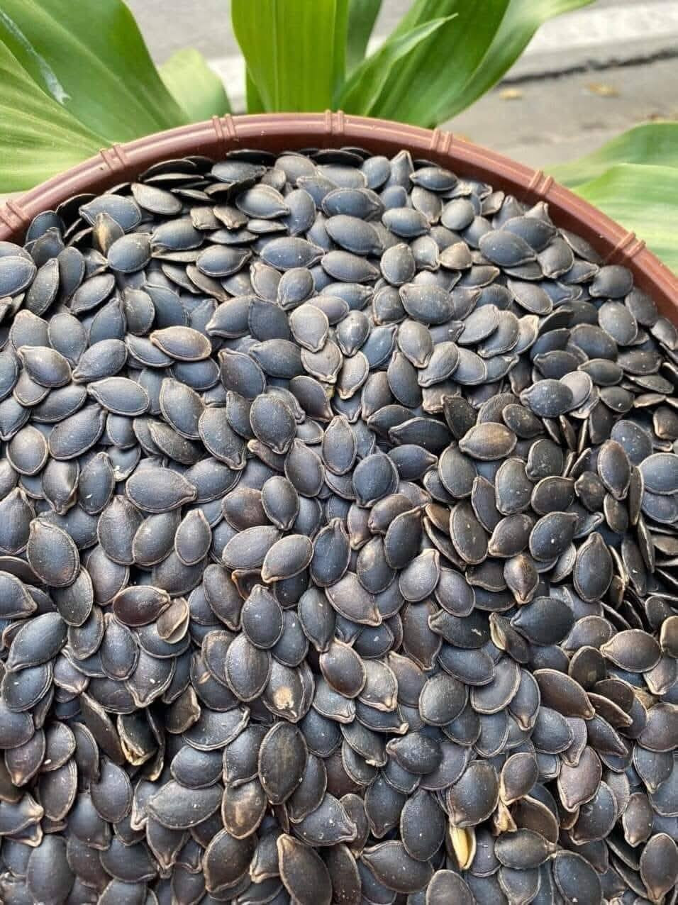 Hạt bí mèo có loại chưa rang và loại rang sẵn. Hạt bí mèo chưa rang giá từ 150.000 - 200.000 đồng/kg. Ảnh: Facebook