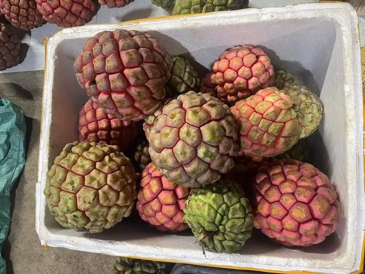 Thông thường, na rừng tại Trung Quốc khoảng 80 NDT (tương đương 295.000 đồng)/kg, loại đắt hơn thậm chí có thể lên đến 160 NDT (khoảng 591.000 đồng)/kg. Ảnh: Facebook