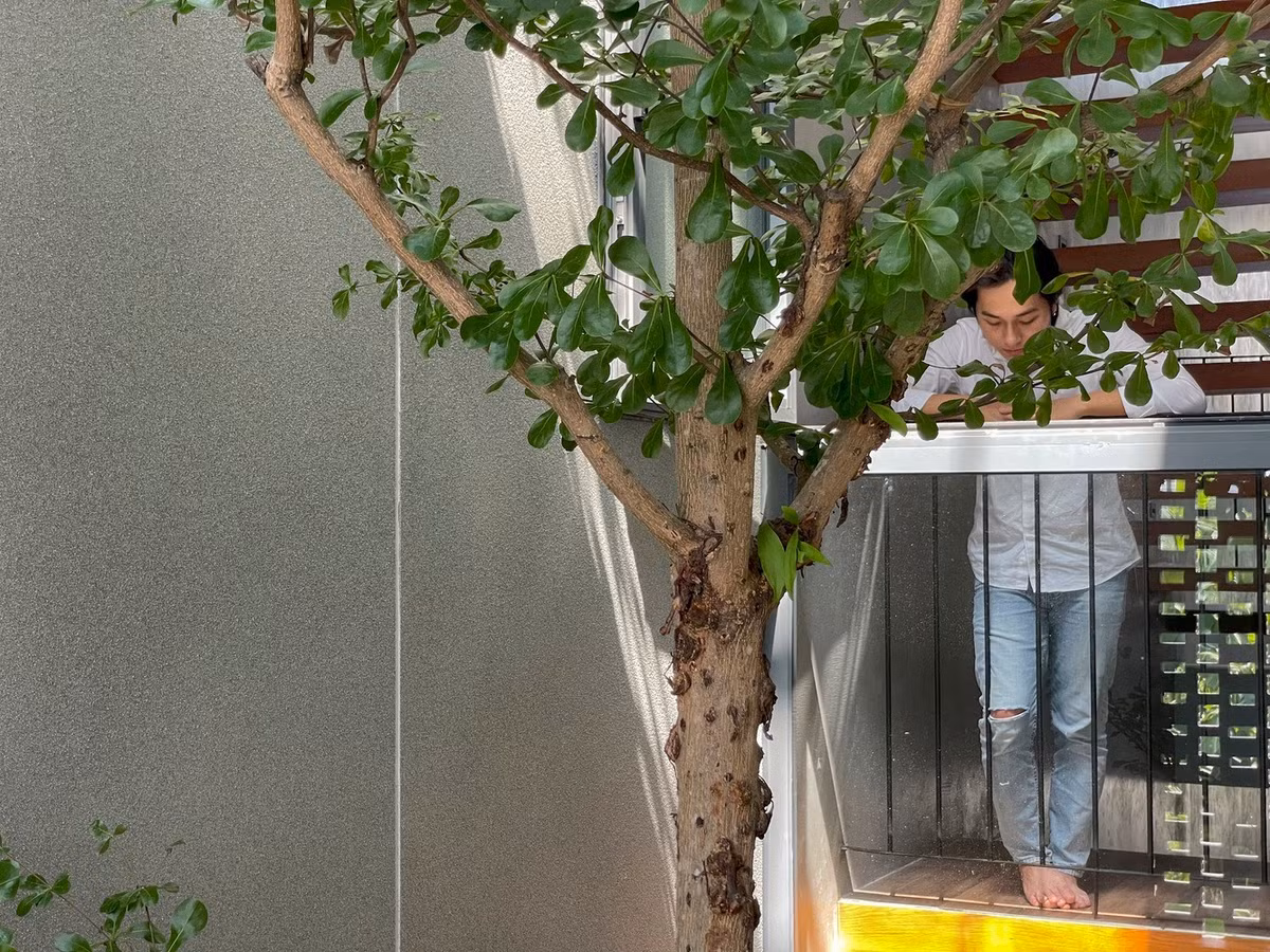 Kiến trúc sư khéo léo lồng ghép cây xanh xen kẽ khắp nơi trong căn nhà. Ảnh: Hoàng Lê