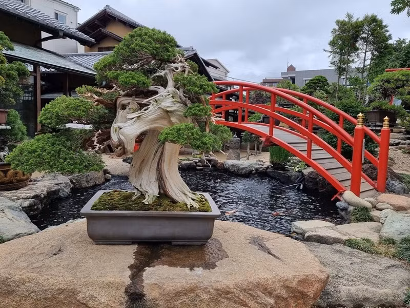 Kobayashi là một trong những bậc thầy bonsai nổi tiếng nhất, người đã theo đuổi bộ môn nghệ thuật này hơn 30 năm. Ông mở Bảo tàng Sunkaen vào năm 2002 để trưng bày các tác phẩm của ông và các trợ lý, đồng thời góp phần phổ biến nghệ thuật bonsai. Ảnh: Reddit