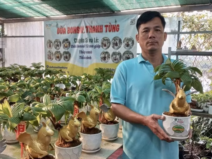 Quá trình tạo tác một cây dừa bonsai kéo dài từ 8 tháng đến một năm. Ảnh: Ngoisao