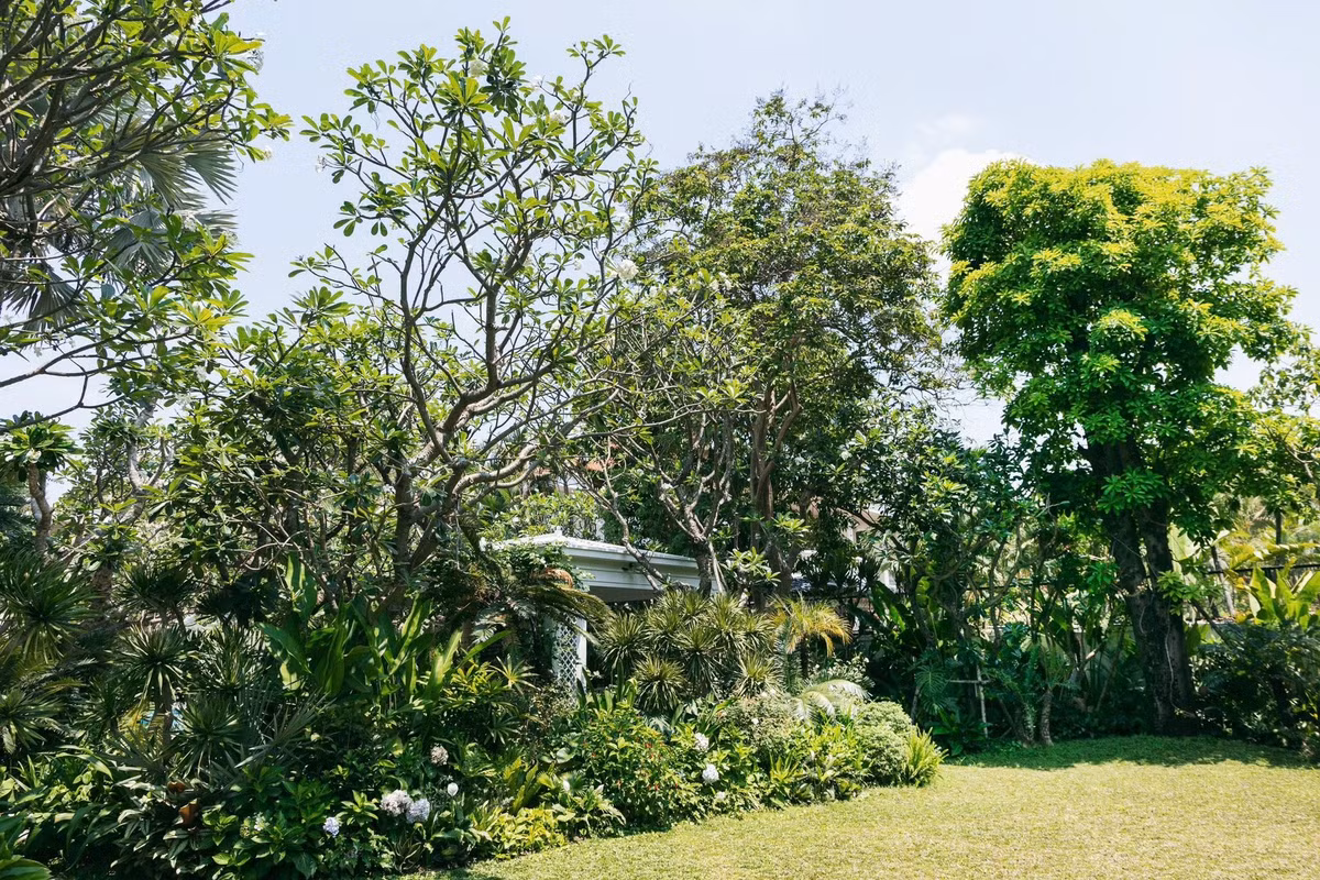 Xung quanh ngôi nhà là rất nhiều cây cao lớn và xanh tốt. Ảnh: FB Do Manh Cuong