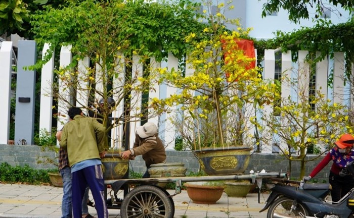 Trung bình mỗi ngày chở 6 - 7 chuyến, trừ tiền xăng, sẽ còn khoảng 500.000 – 600.000 đồng. Những ngày cao điểm, thu nhập có thể lên đến cả triệu đồng. Ảnh: Báo Quảng Ngãi