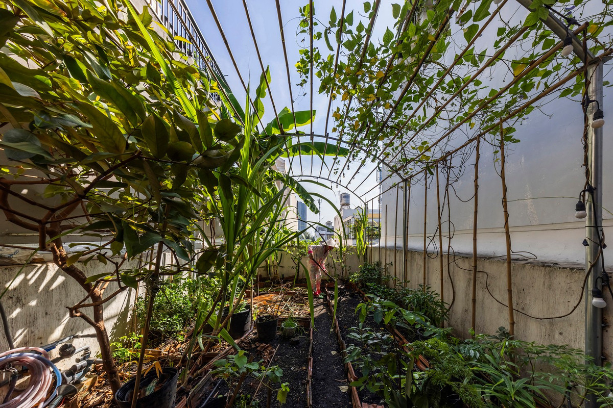 Phía trước, một khu vườn liền mạch với không gian sinh hoạt, tạo sự chuyển tiếp nhẹ nhàng từ đường phố vào nhà. Ảnh: Hirouyki Oki