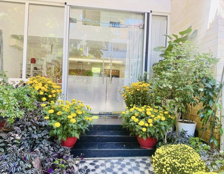 Hai bên lối vào cửa nhà đặt chậu cúc đại đóa. Ảnh: FBNV