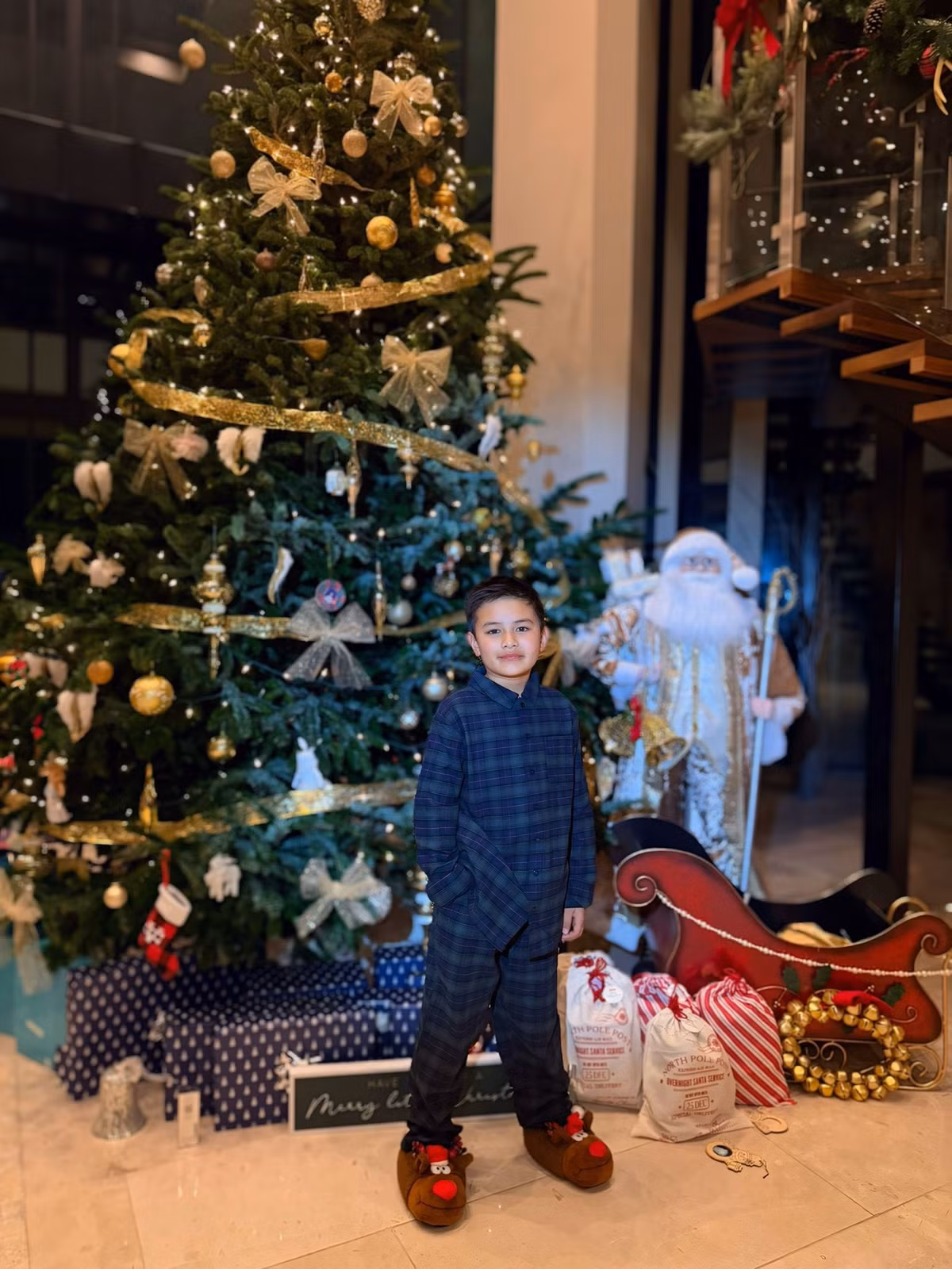 Cây thông trong biệt thự của doanh nhân Thủy Tiên cao 4,5 mét. Ảnh: Thuy Tien Mfas