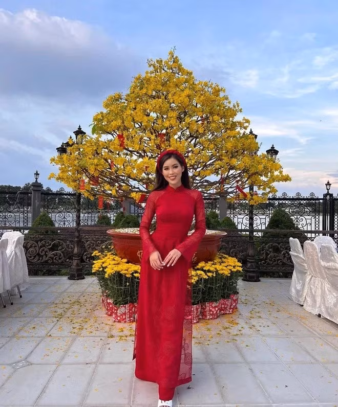 Sân vườn ngập sắc vàng của mai vào dịp Tết. Ảnh: FBNV