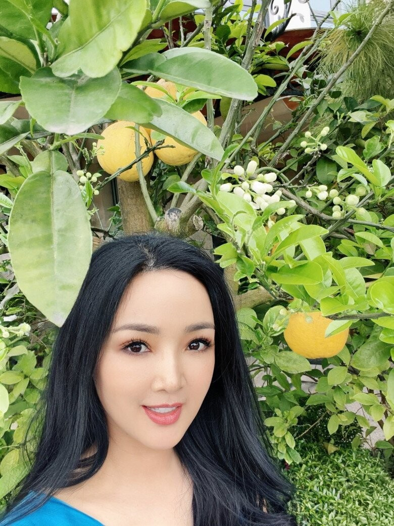 Cây bưởi quả chín vàng nhưng đã cho đầy lộc non. Ảnh: FBNV