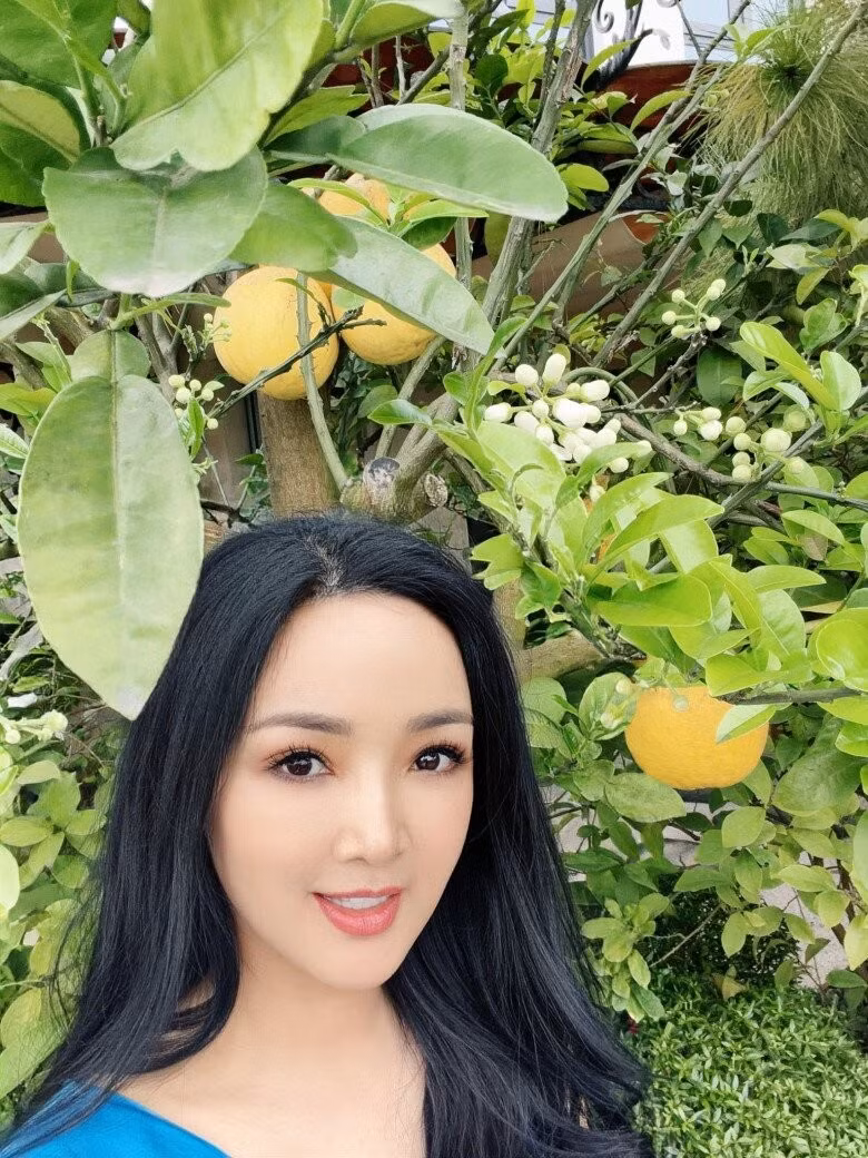 Cây bưởi quả chín vàng nhưng đã cho đầy lộc non. Ảnh: FBNV