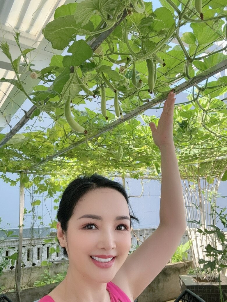 Giàn bầu xanh mướt đang cho nhiều trái. Ảnh: FBNV