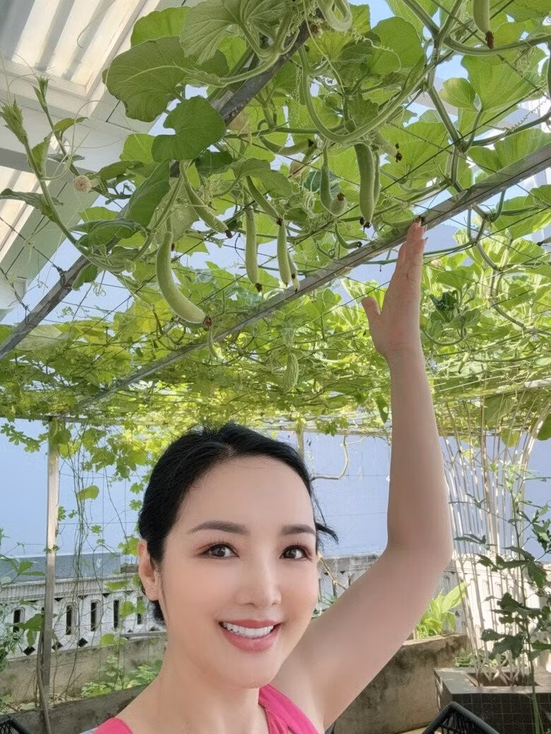 Giàn bầu xanh mướt đang cho nhiều trái. Ảnh: FBNV