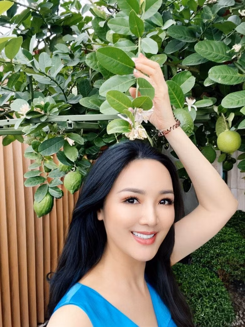 Cây chanh vàng sai trĩu quả và hoa. Ảnh: FBNV