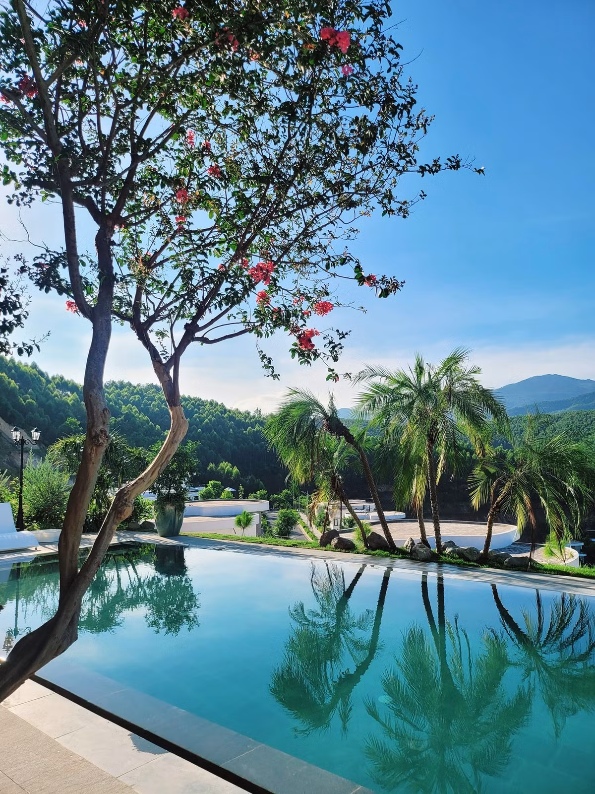 Cơ ngơi mang phong cách Châu Âu rộng 600m2, sở hữu không gian xanh mát chẳng khác resort giữa núi đồi. Ảnh: FBNV