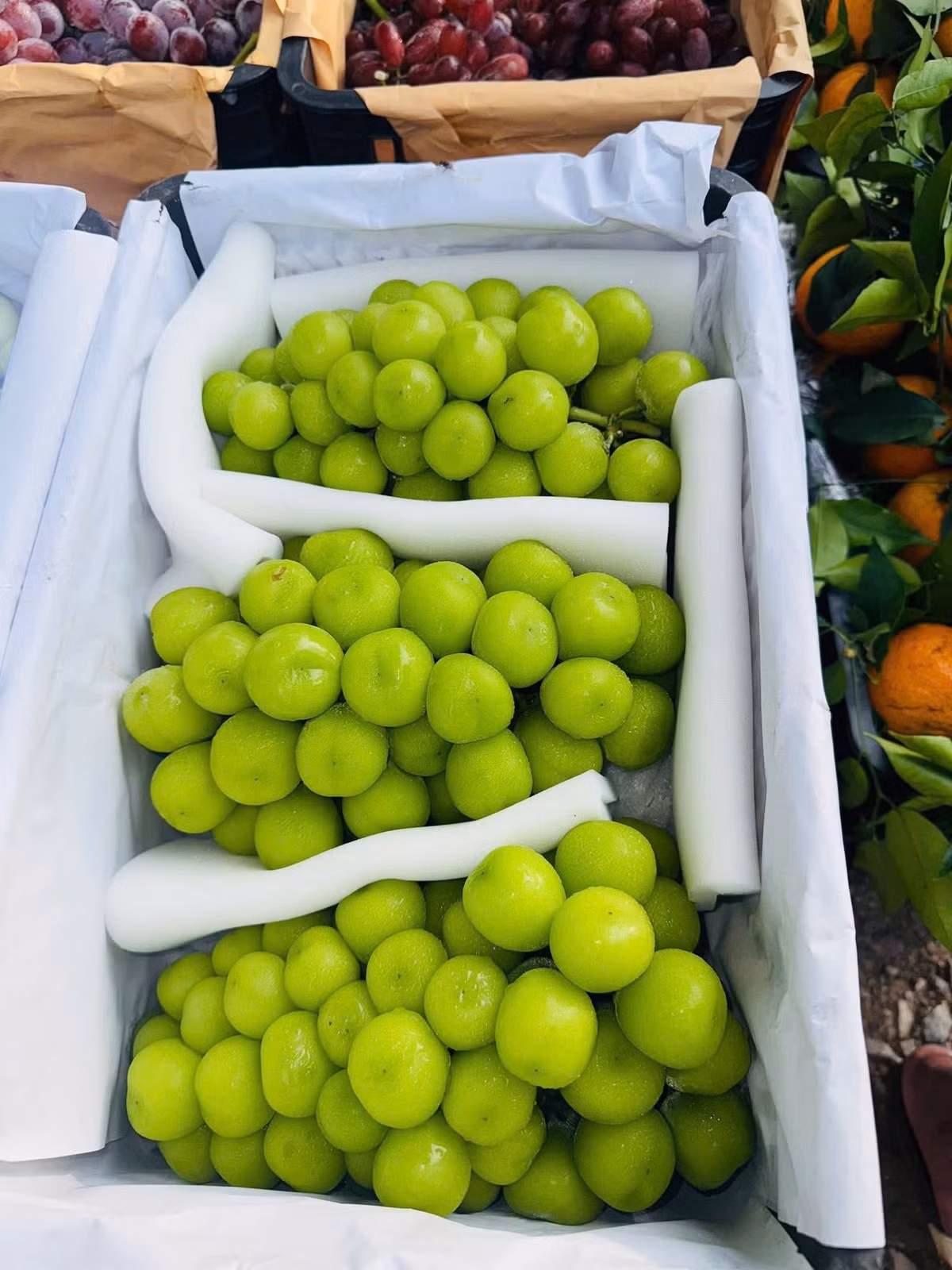 Đặt mua cả thùng nho sữa 9 kg cả bì (7 kg lõi) với giá 225.000 đồng/kg, chị Thanh (Hà Nội) cho biết, mỗi cân nho sữa chỉ khoảng hơn 30.000 đồng. Ảnh: Facebook