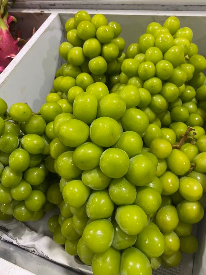 Theo chị Duyên, nho sữa quả to, không có hạt, thơm nên được nhiều khách hàng ưa chuộng. Ảnh: Facebook