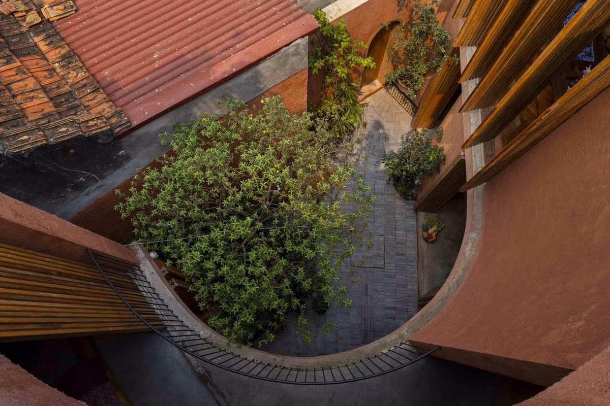 Trong không gian xanh, các loại gia vị, thảo mộc được trồng cùng tinh dầu giúp xua đuổi côn trùng và thư giãn tinh thần. Ảnh: Cao Xuân Hoa