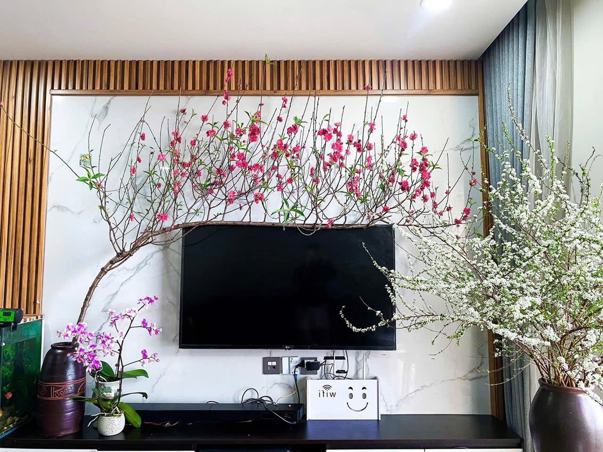 Trên thị trường, mỗi cành đào huyền có giá từ 150.000 - 500.000, tùy kích thước. Ảnh: Facebook