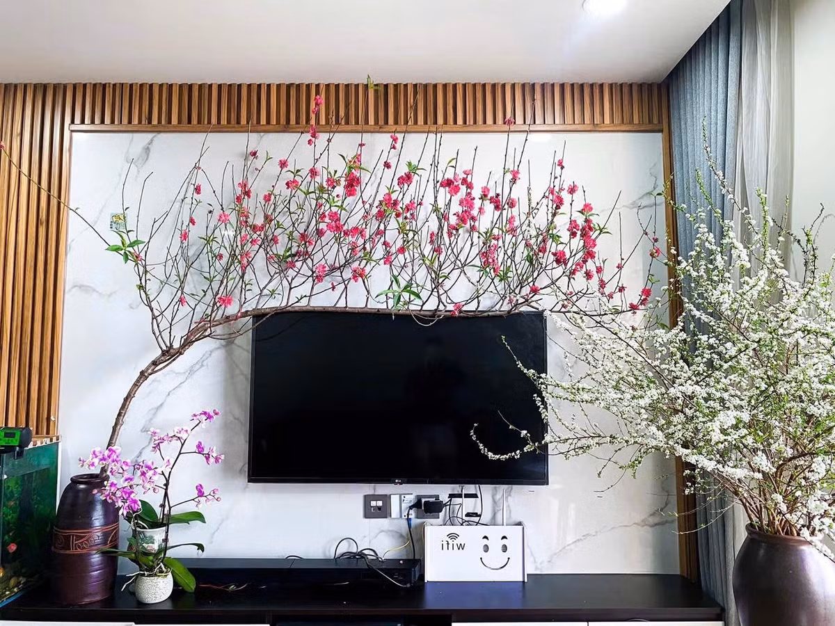 Trên thị trường, mỗi cành đào huyền có giá từ 150.000 - 500.000, tùy kích thước. Ảnh: Facebook