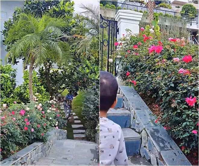 Mới đây, bà xã Mạnh Trường khoe đoạn video khu vườn trong biệt thự khiến ai nấy đều xuýt xoa trước khung cảnh hoa giăng khắp lối. Ảnh chụp màn hình