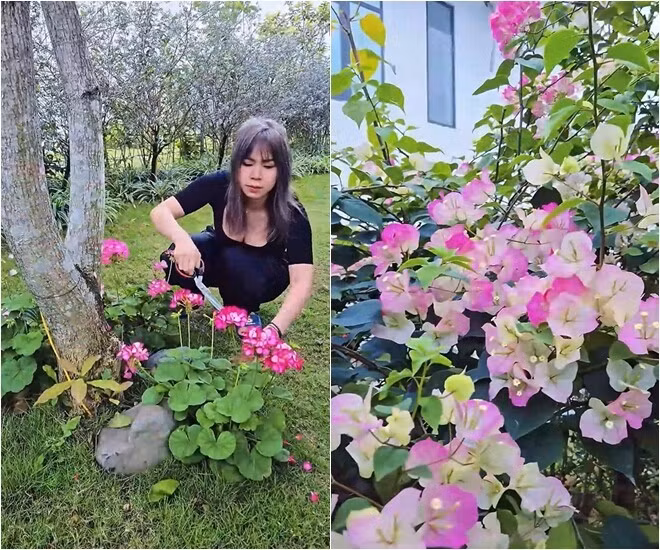 Phương Phạm tự tay tỉa tót hoa, cho thấy niềm đam mê làm vườn. Ảnh chụp màn hình