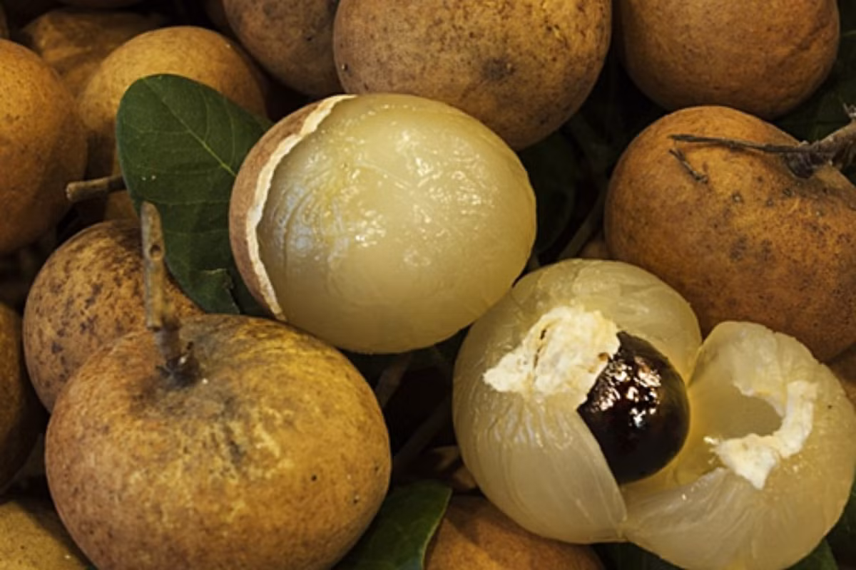 Sang năm 2025, giá nhãn bắp cải rơi mạnh nhất trong vòng 5 năm. Tại chợ đầu mối ở TP HCM, giá nhãn bắp cải chỉ 35.000–45.000 đồng/kg, mức thấp kỷ lục. Ảnh: Kinhtechungkhoan