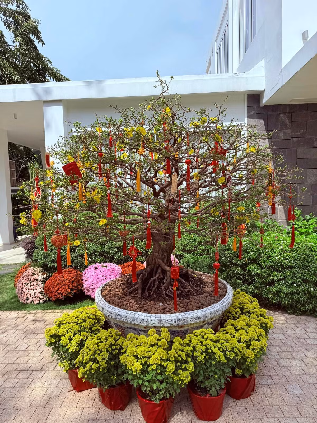 Dịp Tết, vợ chồng Chi Bảo trang hoàng căn biệt thự ngập tràn hoa tươi. Ảnh: FBNV