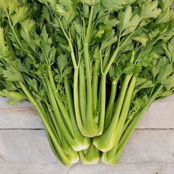 Cần tây sạch thân nhỏ, màu xanh hơi ngả vàng nhẹ, mùi thơm tự nhiên. Ảnh: Internet