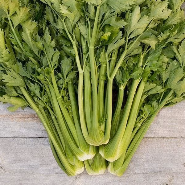 Cần tây sạch thân nhỏ, màu xanh hơi ngả vàng nhẹ, mùi thơm tự nhiên. Ảnh: Internet
