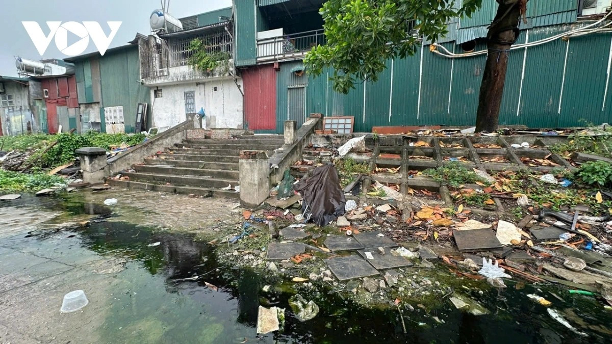 Ngay sát vườn hoa mới cải tạo, rau muống được người dân trồng mọc bò gần kín đường dạo.