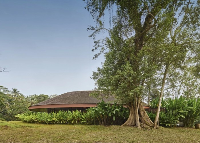 Mái nhà lợp bằng ván gỗ, trải dài thành lối đi rợp bóng mát, hòa quyện với địa hình rừng cây. Ảnh: Worldarchidesign