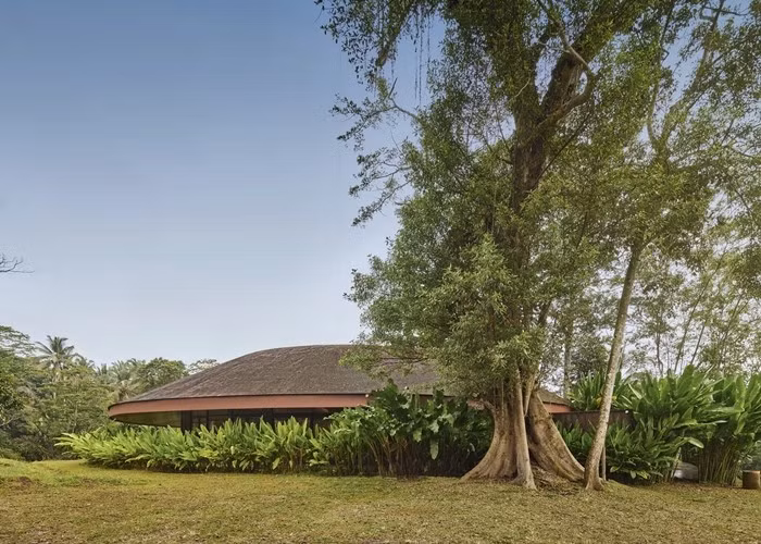 Mái nhà lợp bằng ván gỗ, trải dài thành lối đi rợp bóng mát, hòa quyện với địa hình rừng cây. Ảnh: Worldarchidesign