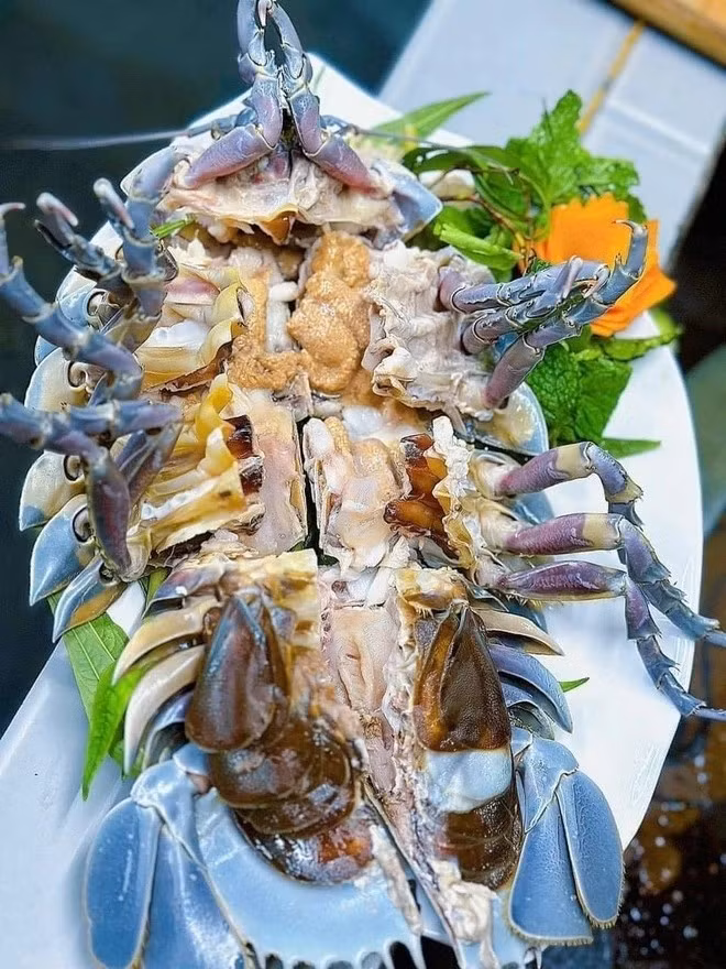 Thịt bọ biển được nhiều thực khách khen ngọt, chắc và “không thua tôm hùm”. Ảnh: Znews