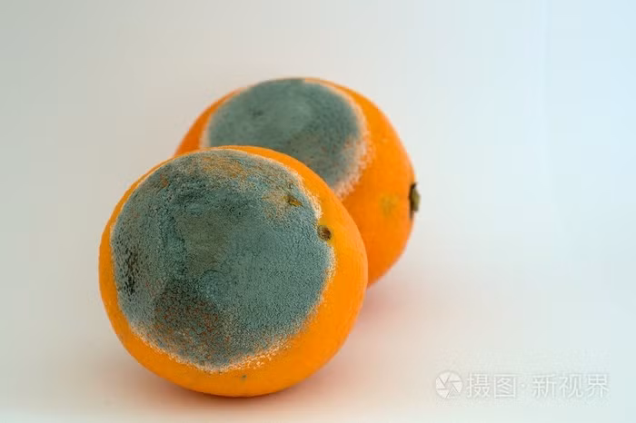 Dù là người mua hay người bán, cần thực hiện các biện pháp bảo vệ cơ bản nhất, như đeo khẩu trang, găng tay và đóng gói sản phẩm kỹ lưỡng. Ảnh: 699pic