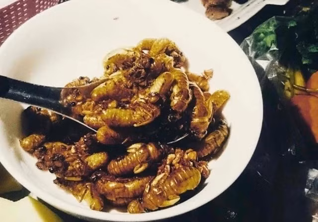 Ngoài ra, nhộng ve sầu có thể chiên bột, xào gốc hành (hoặc củ hành), nấu cháo nước cốt dừa... Ảnh: Người đưa tin