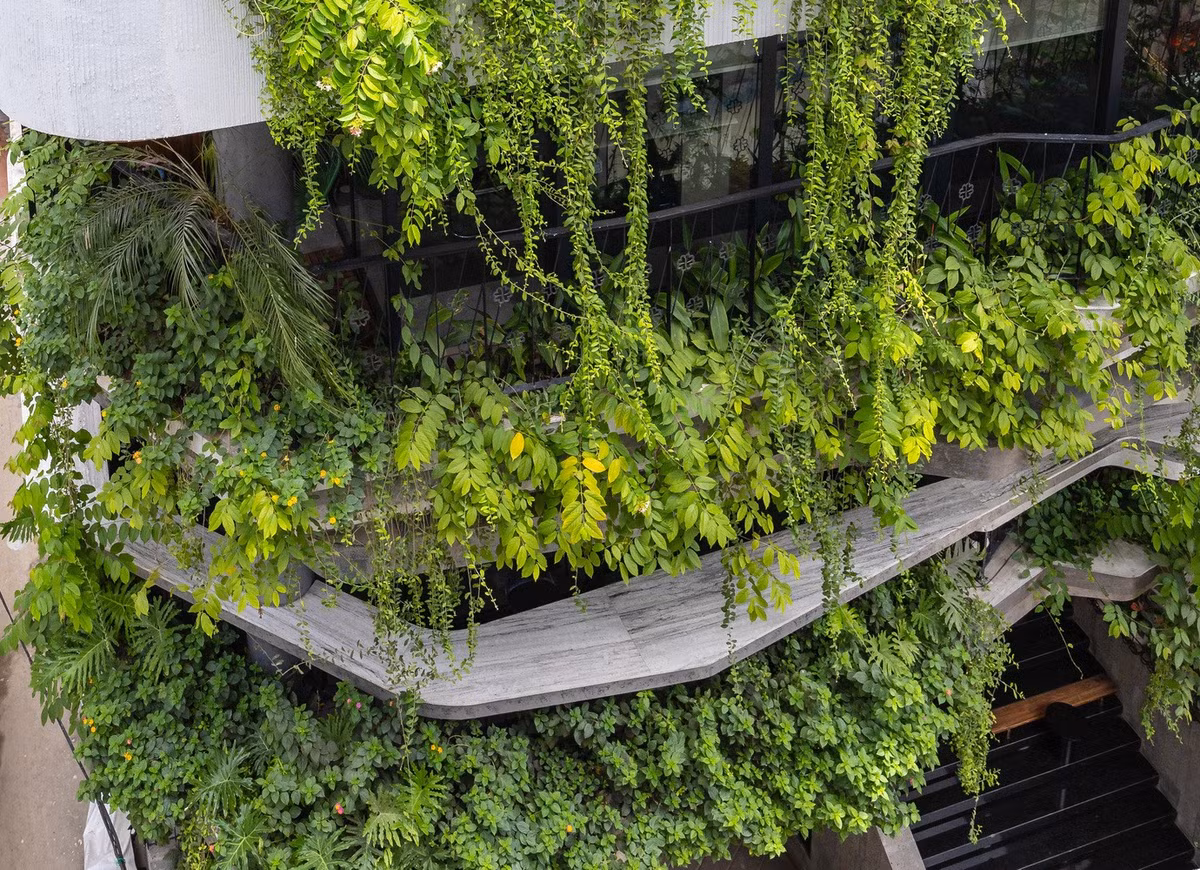 Tòa nhà còn đóng vai trò như một một ốc đảo xanh tươi đan xen giữa cảnh quan đường phố. Ảnh: Triệu Chiến