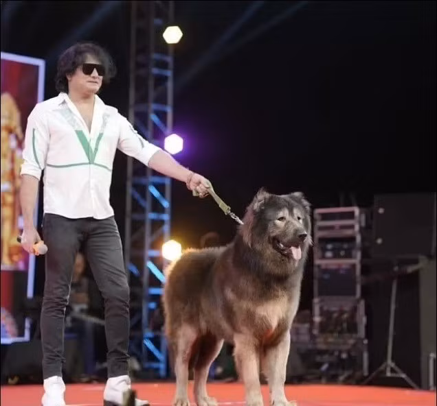 Chủ nhân của chú chó đặc biệt này là S. Satish, một đại gia ở Bengaluru, bang Karnataka. Ông là một nhà sưu tầm chó nổi tiếng trong vùng và cũng đồng thời là chủ tịch Hiệp hội những người nuôi chó Ấn Độ. Ảnh: OC