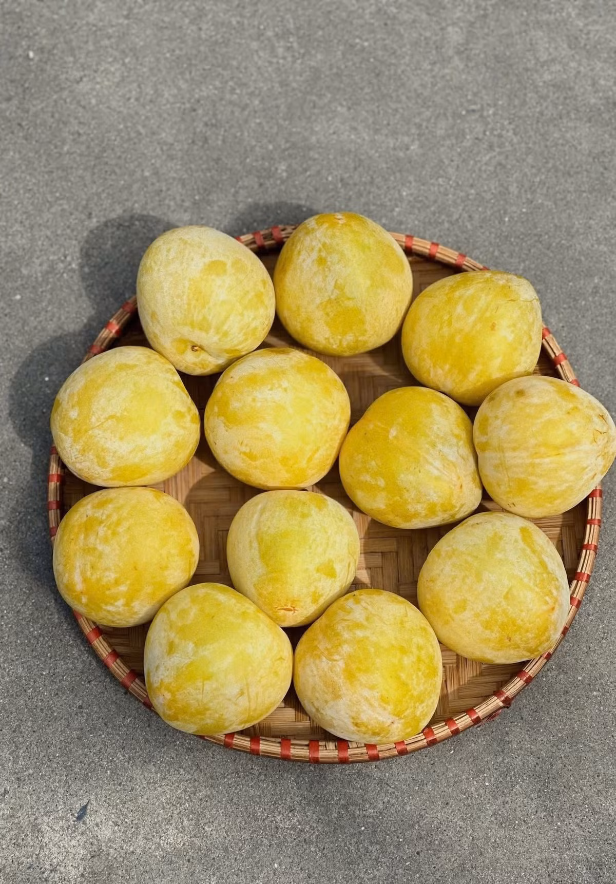 Chị Mai (bán hàng tại chợ Long Biên, Hà Nội) cho biết, mận cau Trung Quốc đang vào chính vụ, nguồn cung dồi dào nên giá rẻ. Ảnh: Facebook