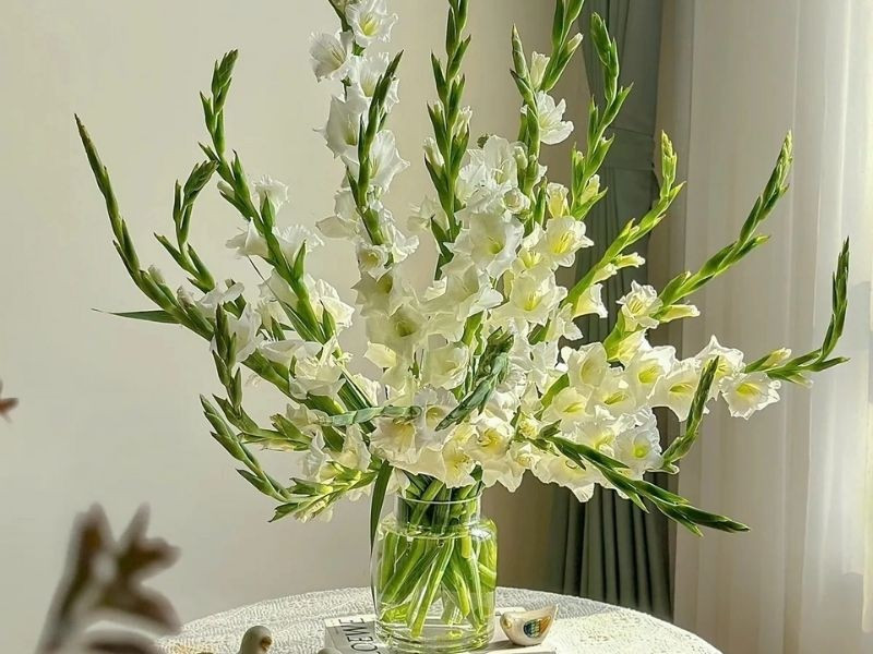 Hoa có nhiều màu sắc như đỏ, hồng, vàng, cam, phù hợp với nhiều không gian khác nhau. Giá hoa lay ơn khá “mềm”, dao động từ 5.000–10.000 đồng/cành, phù hợp với các gia đình muốn trang trí Tết tiết kiệm. Ảnh: Flosa