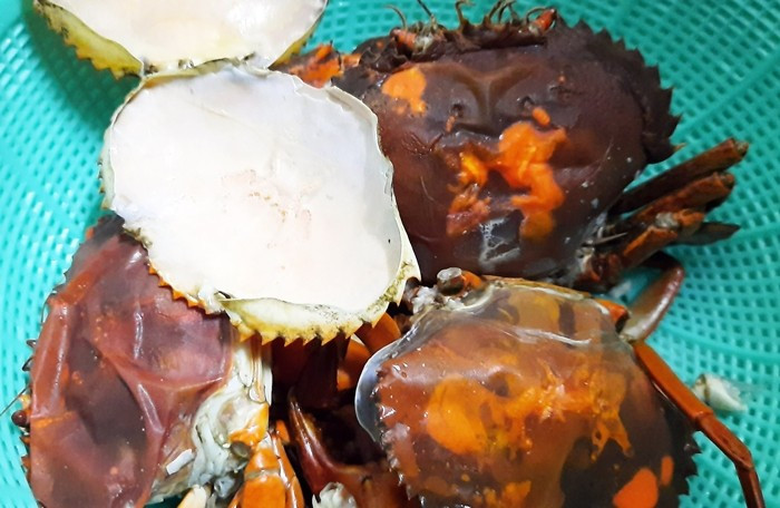 Cua hai da thực chất là cua biển đang trong giai đoạn sắp lột xác. Vào giai đoạn này, cua thường tìm hang trú ẩn, lấp kín miệng hang và gần như không di chuyển để tránh kẻ thù. Ảnh: Dân Việt