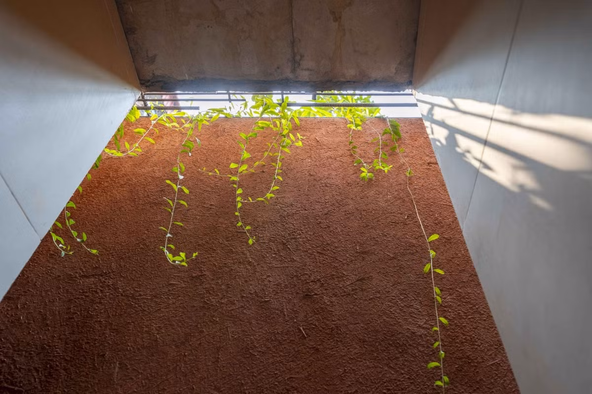 Ánh sáng tự nhiên được tận dụng tối đa. Ảnh: Cao Xuân Hoa