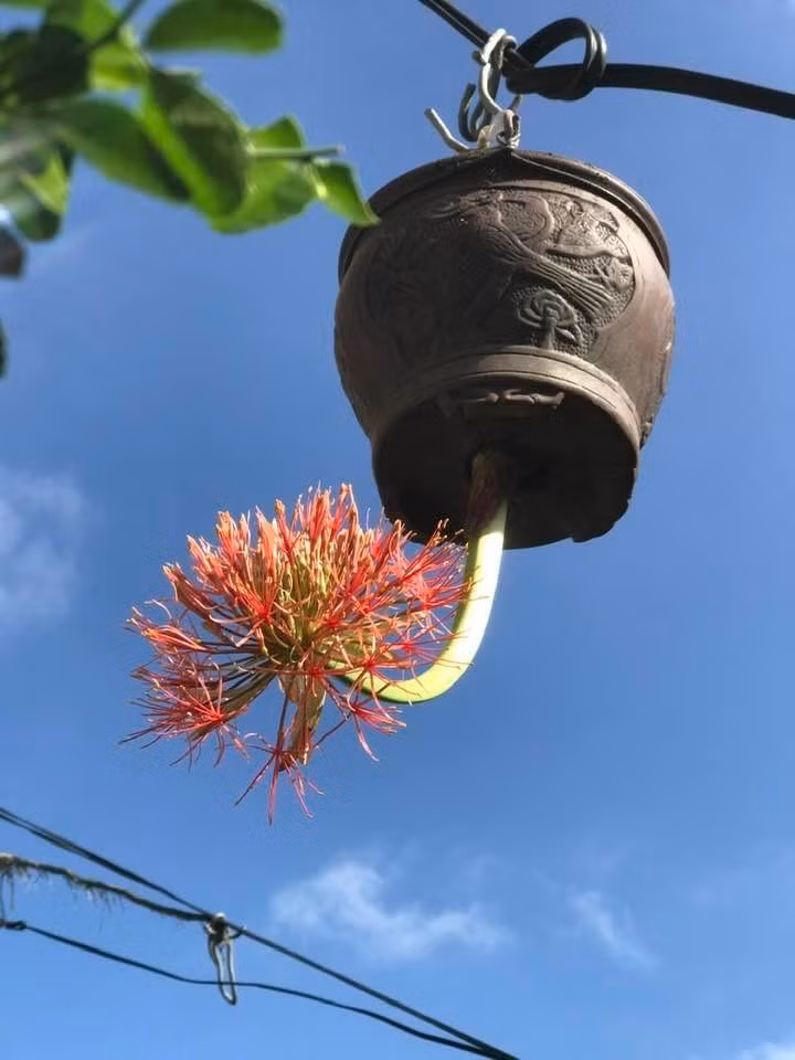 Mỗi tác phẩm đều vô cùng độc đáo. Ảnh: FB Lê Thạnh